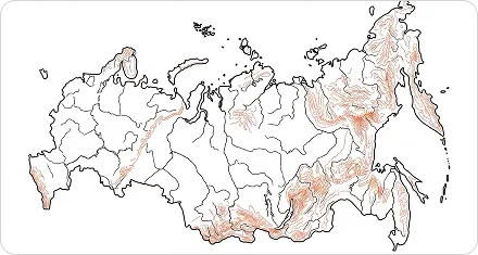решение для грузоперевозок